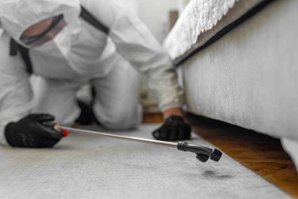 Professional Termite Control technician working in Woodward, OK