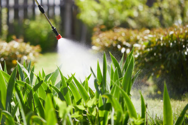 24/7 Emergency Termite Control experts in Woodward, OK