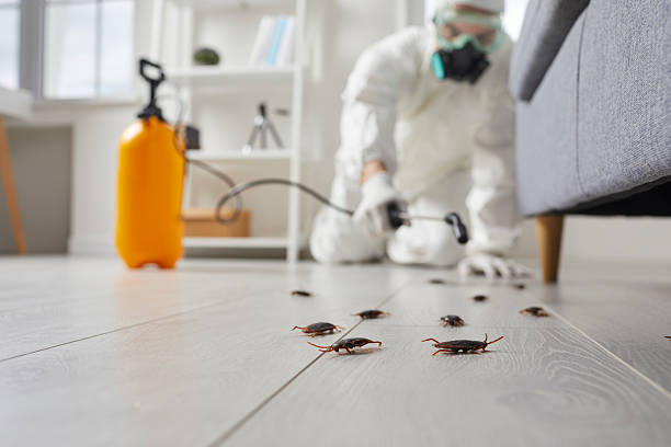 Trusted Fumigation Services service in Woodward, OK - Nex Pest Control